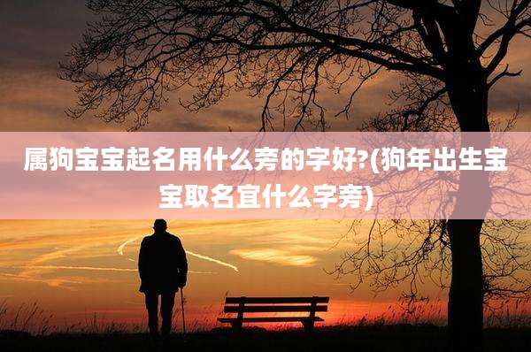 属狗宝宝起名用什么旁的字好?(狗年出生宝宝取名宜什么字旁)