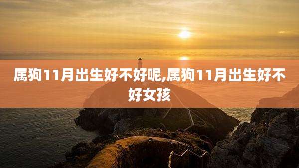 属狗11月出生好不好呢,属狗11月出生好不好女孩