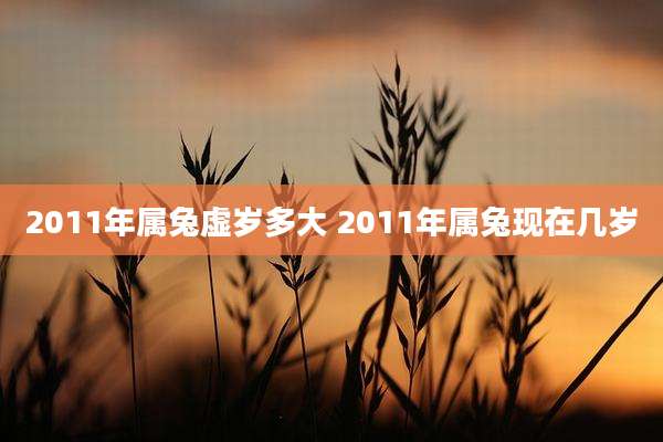 2011年属兔虚岁多大 2011年属兔现在几岁
