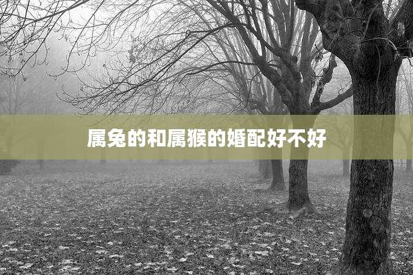 属兔的和属猴的婚配好不好