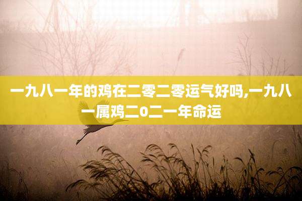 一九八一年的鸡在二零二零运气好吗,一九八一属鸡二0二一年命运