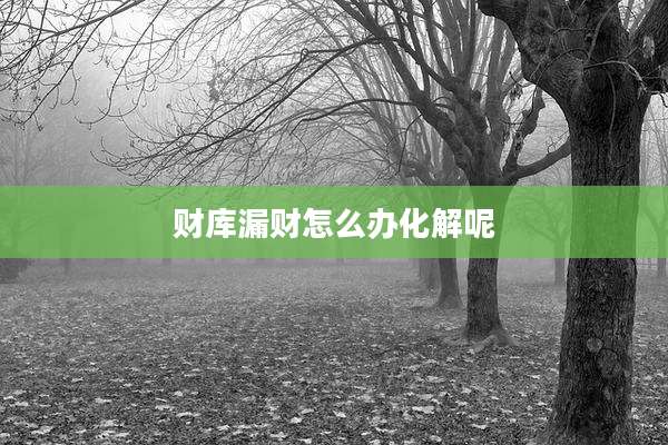 财库漏财怎么办化解呢