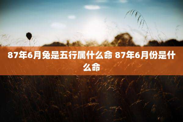 87年6月兔是五行属什么命 87年6月份是什么命