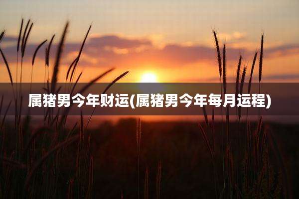 属猪男今年财运(属猪男今年每月运程)