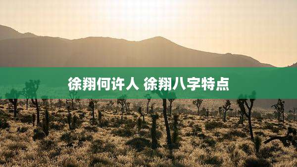 徐翔何许人 徐翔八字特点
