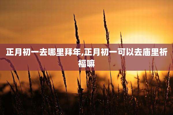 正月初一去哪里拜年,正月初一可以去庙里祈福嘛