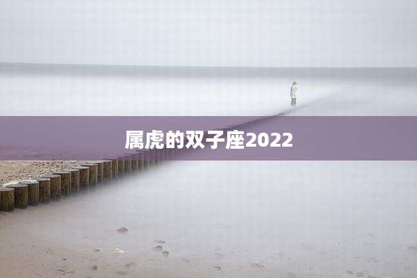 属虎的双子座2022