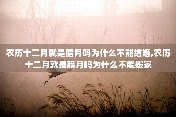 农历十二月就是腊月吗为什么不能结婚,农历十二月就是腊月吗为什么不能搬家