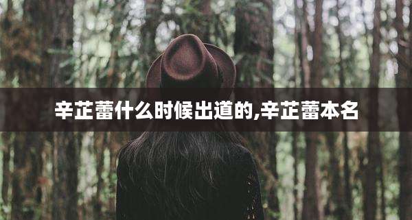 辛芷蕾什么时候出道的,辛芷蕾本名