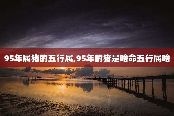95年属猪的五行属,95年的猪是啥命五行属啥