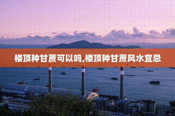 楼顶种甘蔗可以吗,楼顶种甘蔗风水宜忌