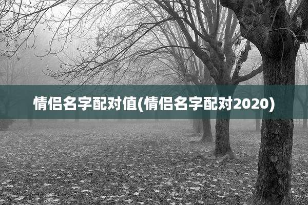 情侣名字配对值(情侣名字配对2020)