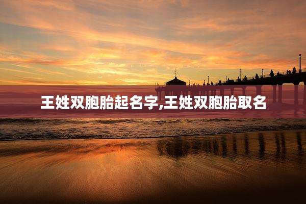 王姓双胞胎起名字,王姓双胞胎取名
