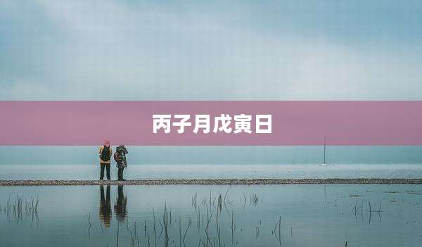 丙子月戊寅日