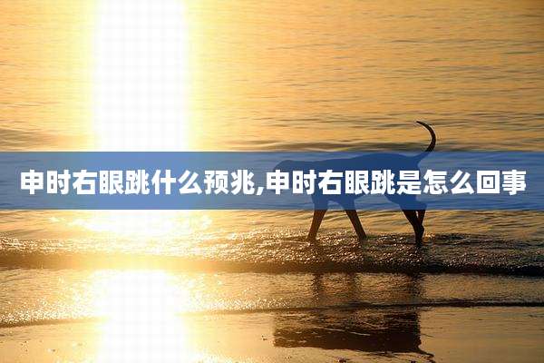 申时右眼跳什么预兆,申时右眼跳是怎么回事