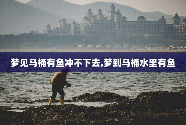 梦见马桶有鱼冲不下去,梦到马桶水里有鱼