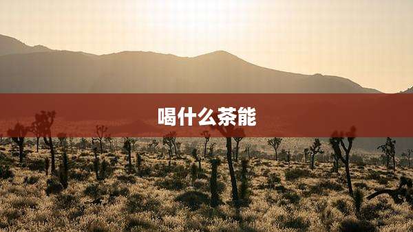 喝什么茶能