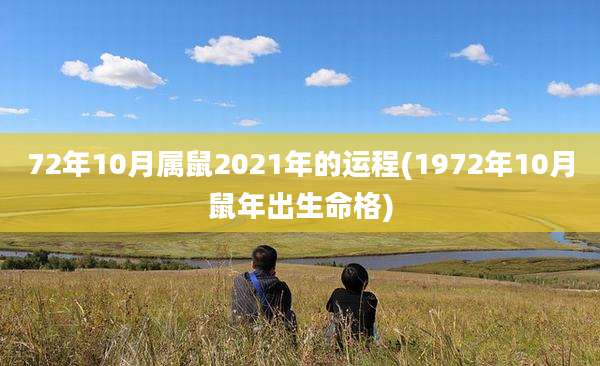 72年10月属鼠2021年的运程(1972年10月鼠年出生命格)