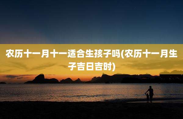 农历十一月十一适合生孩子吗(农历十一月生子吉日吉时)