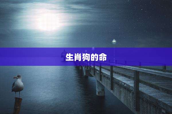 生肖狗的命