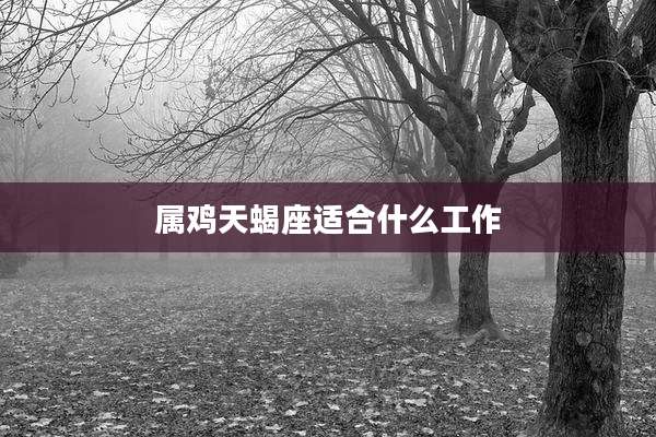 属鸡天蝎座适合什么工作