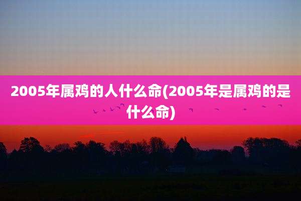 2005年属鸡的人什么命(2005年是属鸡的是什么命)