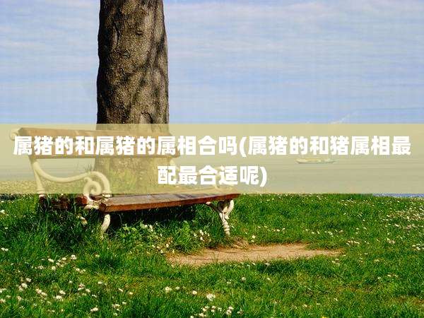 属猪的和属猪的属相合吗(属猪的和猪属相最配最合适呢)