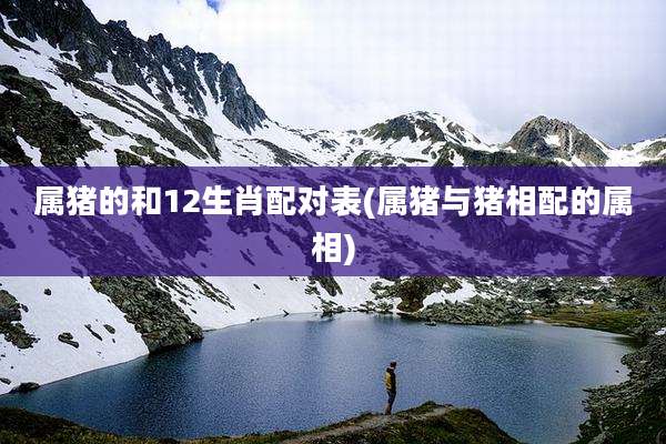 属猪的和12生肖配对表(属猪与猪相配的属相)
