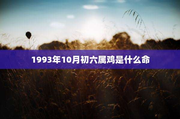 1993年10月初六属鸡是什么命