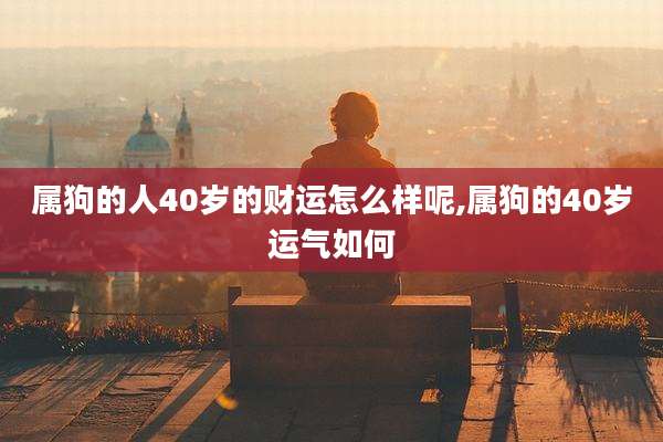 属狗的人40岁的财运怎么样呢,属狗的40岁运气如何