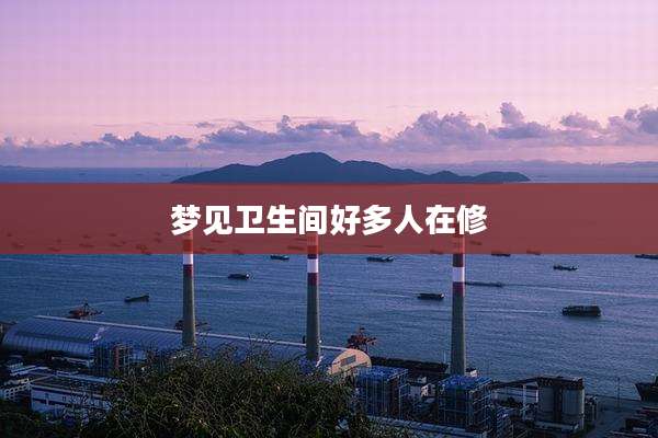 梦见卫生间好多人在修