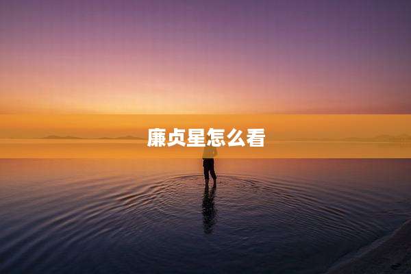 廉贞星怎么看