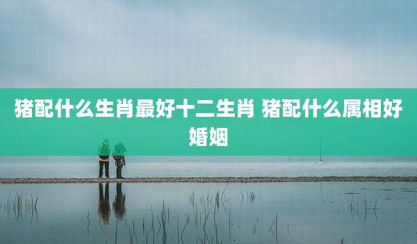 猪配什么生肖最好十二生肖 猪配什么属相好婚姻