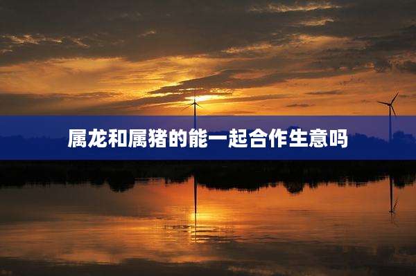 属龙和属猪的能一起合作生意吗