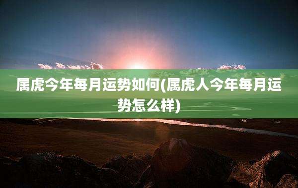 属虎今年每月运势如何(属虎人今年每月运势怎么样)