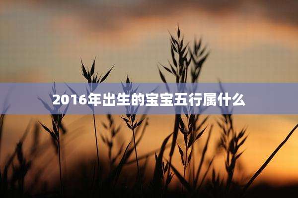 2016年出生的宝宝五行属什么