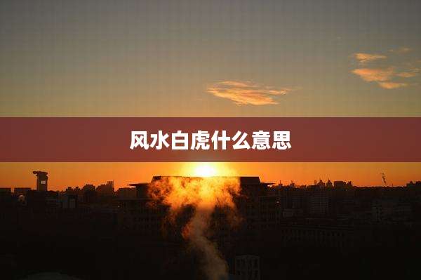 风水白虎什么意思