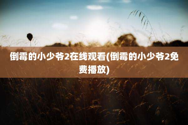 倒霉的小少爷2在线观看(倒霉的小少爷2免费播放)