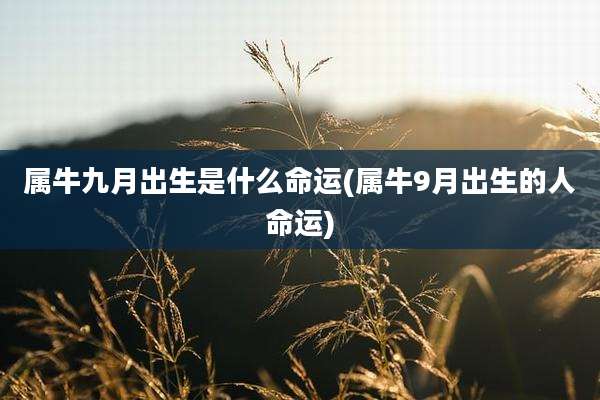 属牛九月出生是什么命运(属牛9月出生的人命运)