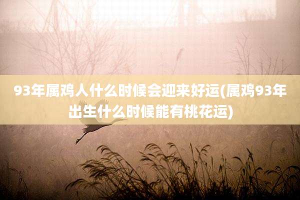 93年属鸡人什么时候会迎来好运(属鸡93年出生什么时候能有桃花运)