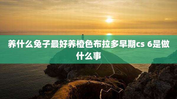 养什么兔子最好养橙色布拉多早期cs 6是做什么事