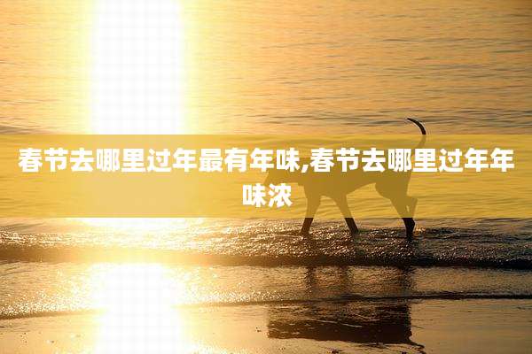 春节去哪里过年最有年味,春节去哪里过年年味浓