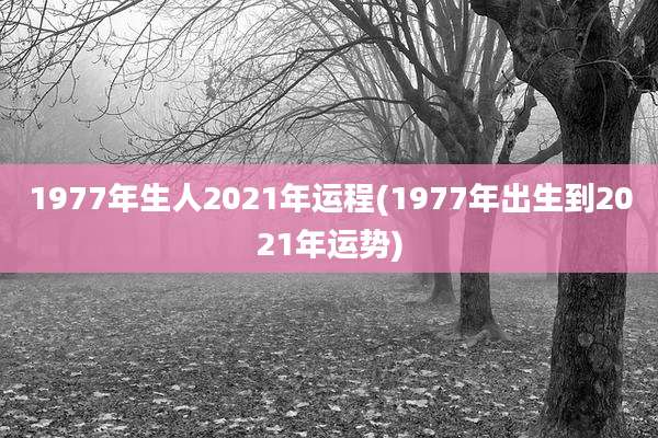 1977年生人2021年运程(1977年出生到2021年运势)