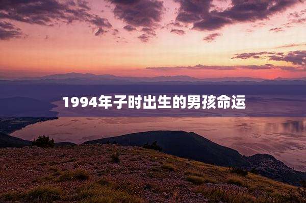 1994年子时出生的男孩命运