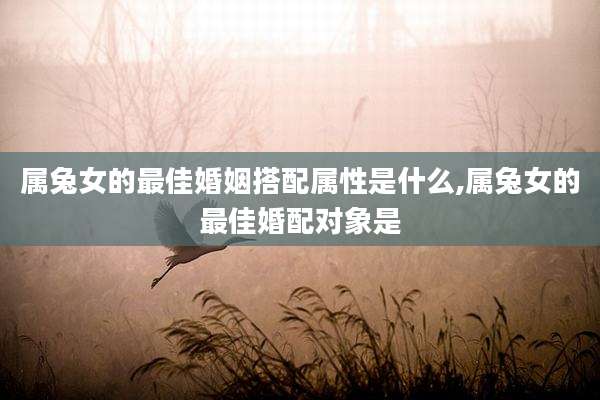 属兔女的最佳婚姻搭配属性是什么,属兔女的最佳婚配对象是