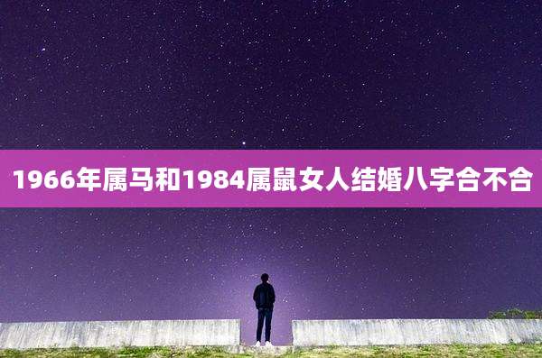 1966年属马和1984属鼠女人结婚八字合不合