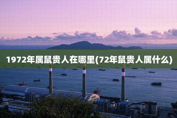 1972年属鼠贵人在哪里(72年鼠贵人属什么)