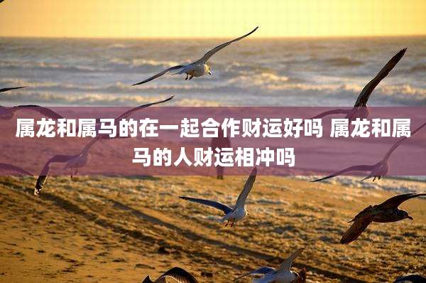 属龙和属马的在一起合作财运好吗 属龙和属马的人财运相冲吗