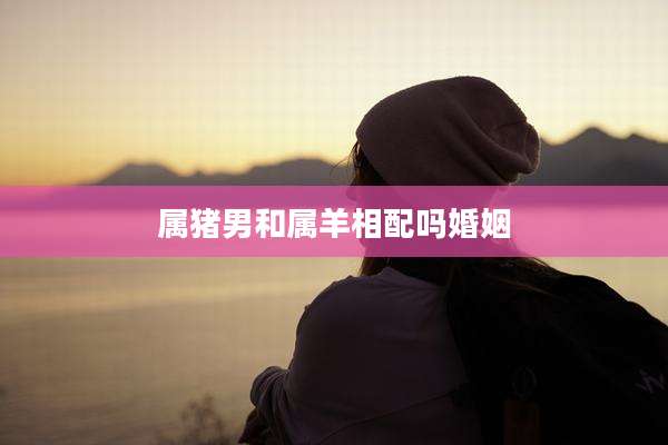 属猪男和属羊相配吗婚姻