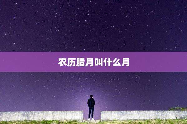 农历腊月叫什么月